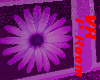 Purple Flower Room