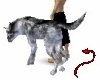 Devil~Lone Wolf Pet