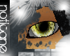 {N.cane*}yellow dow eyes