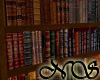 ~NS~ Old wood libary