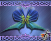 Petticoat Pride Wings