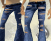 Ripped Dark Stone Wash