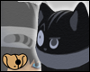 Male Reverse Black Cat