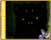 )o( Black Panther Yellow