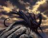 DRAGON..