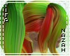 Aima Rainbow