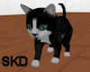 (SK) Tuxedo Snuggles
