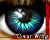 *Blue Eyes* Calm