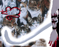 Long White Cat Tail