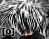 [O] KoOrI