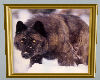 BlackWolfSnowProwlPic
