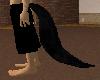 Black Wolf Longer Tail