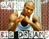 THE GAME  BIG DREAMS