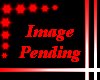 DQC(P)WarmNWinterArmM