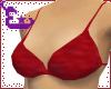Dark Red Bikini T.
