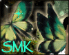 Butterfly/Wings