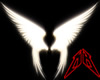 Real angel wings