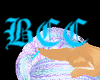 ~*BCC*~ Arachnia