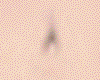 � Pregnant Belly