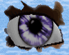 S* Purple Eternity