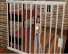 Rustic Jail