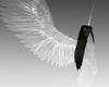 Invisible! (wings)