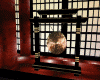 MsN Gong with Sound