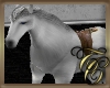 TC~ White Stallion