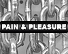 Product Image for Pain & Pleasure