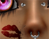 [SWC] F Septum + Bridge