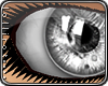 *L� iGlass Silver