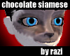 Chocolate Siamese Skin