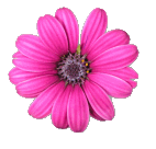 sticker_774810_676055