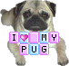 sticker_24419431_35456535