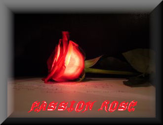 sticker_5422686_20098921