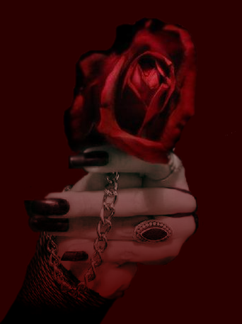 sticker_2909595_23133111
