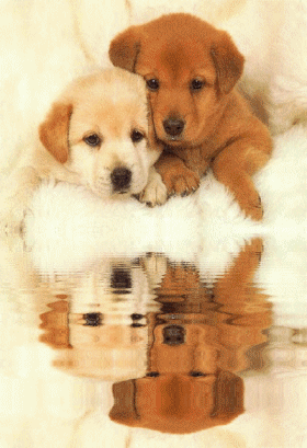 sticker_12556109_22656492
