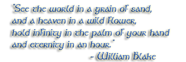 sticker_15813905_27919925