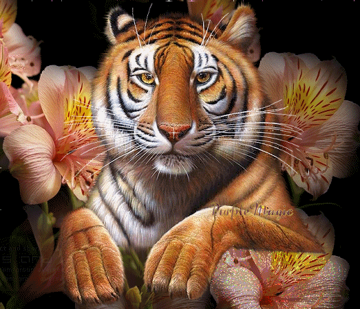 sticker_15369673_22119154