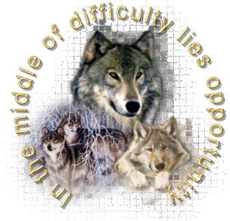 sticker_12240895_47522842