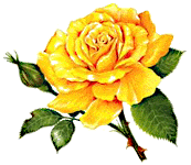 sticker_15272623_23727073