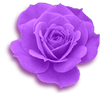sticker_9967613_16585306