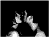 sticker_20053295_29967338