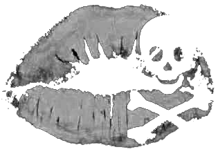 sticker_2737666_39999338