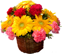 sticker_18988218_27704978
