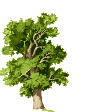 sticker_6135606_7975193