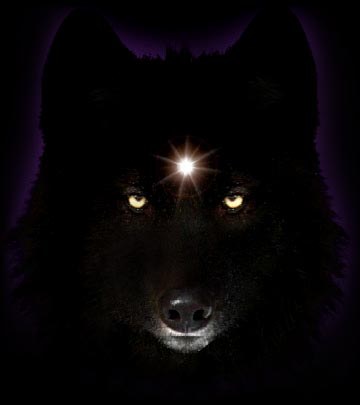 sticker_20567016_28364539