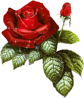 sticker_10230878_34291226