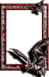 sticker_28118905_38031472