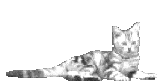 sticker_16577908_25191176